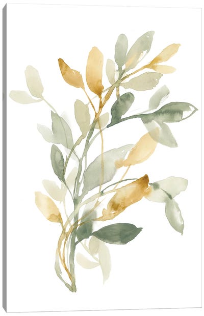 Sage & Sienna Leaves II Canvas Art Print - Jennifer Goldberger