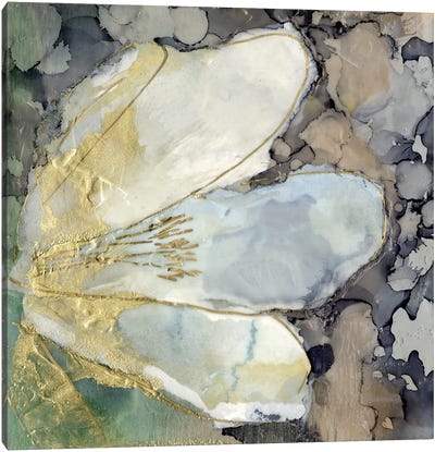 Abstracted Lily II Canvas Art Print - Jennifer Goldberger