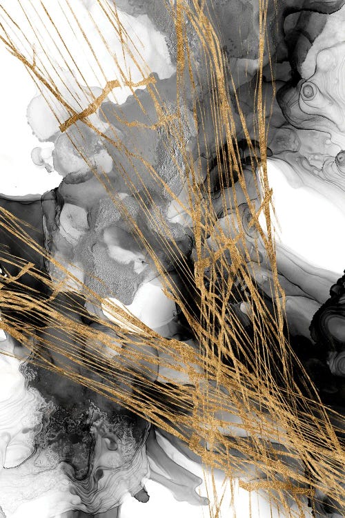 Webbing II by Jennifer Goldberger canvas print