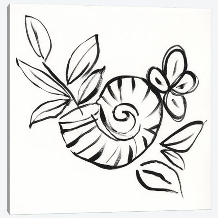 Shell Scrawl I Canvas Print #JGO1260} by Jennifer Goldberger Canvas Art Print