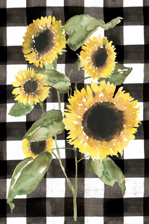 Buffalo Check Sunflower I