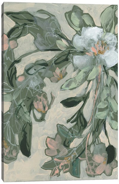 Cascading Bouquet II Canvas Art Print - Jennifer Goldberger