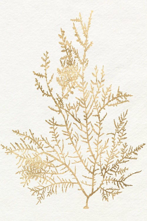 Gilded Algae VIII