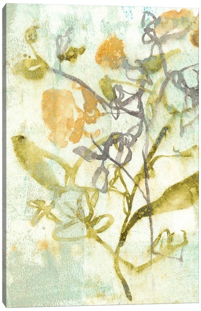 Washed Floral II Canvas Art Print - Spring Color Refresh