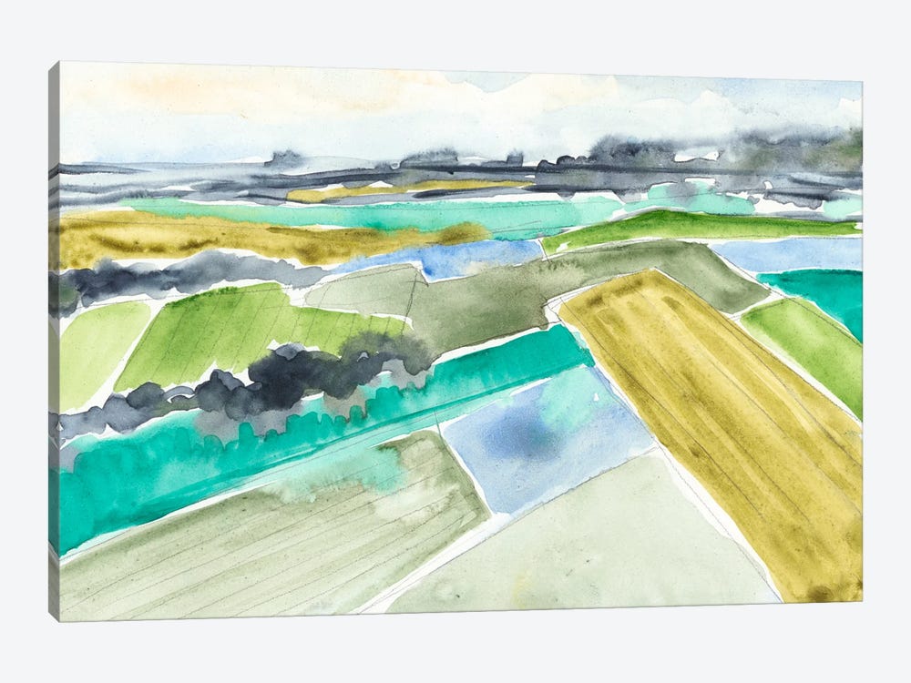 Watercolor Field I by Jennifer Goldberger 1-piece Canvas Wall Art