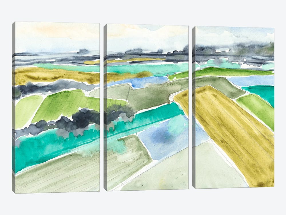 Watercolor Field I by Jennifer Goldberger 3-piece Canvas Wall Art