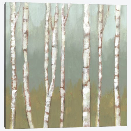 Simple Birchline I Canvas Print #JGO1341} by Jennifer Goldberger Canvas Wall Art