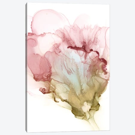 Flowering Pink I Canvas Print #JGO1376} by Jennifer Goldberger Canvas Art