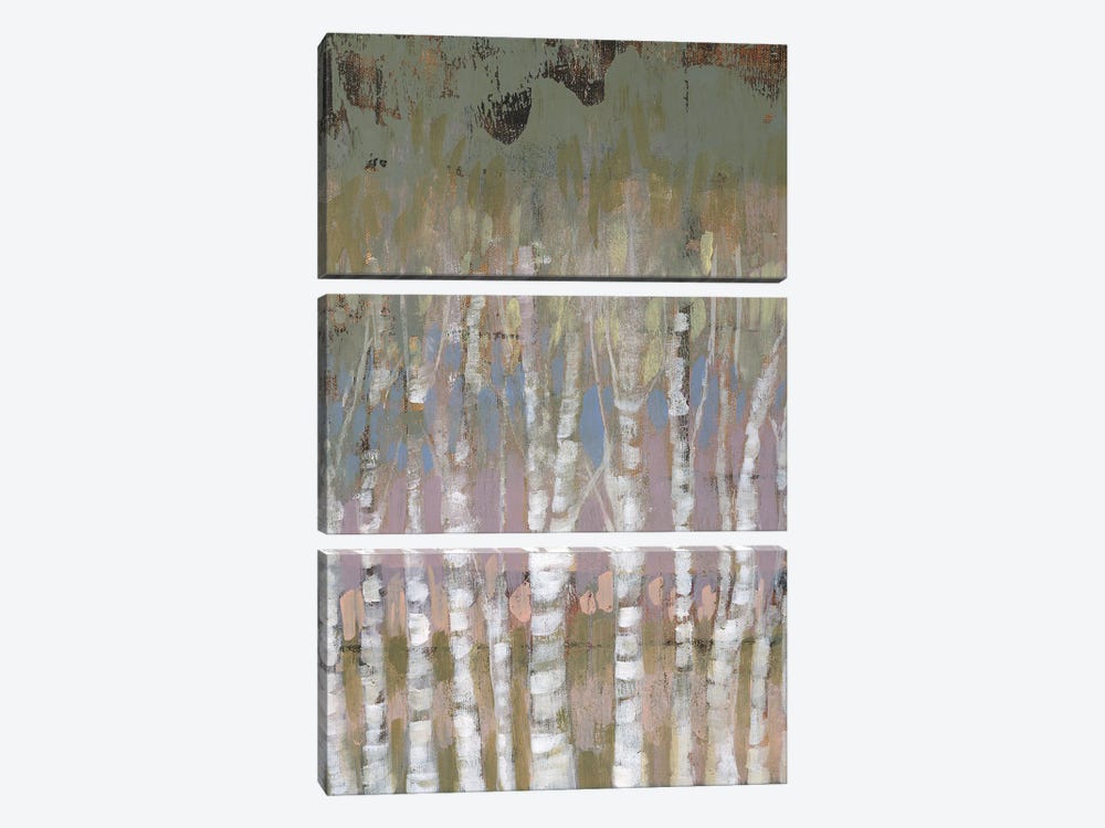Pastel Birchline I by Jennifer Goldberger 3-piece Canvas Wall Art