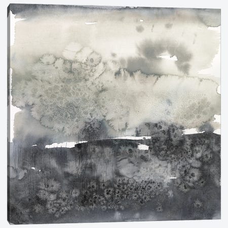 Salted Horizon I Canvas Print #JGO1396} by Jennifer Goldberger Canvas Art