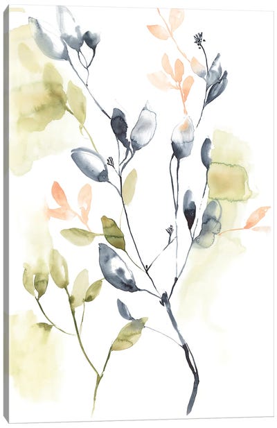 Sweet Leaves I Canvas Art Print - Jennifer Goldberger