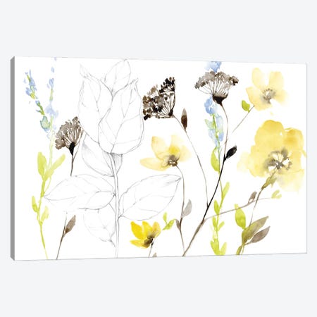 Wild Flowers & Contour I Canvas Print #JGO1416} by Jennifer Goldberger Canvas Print
