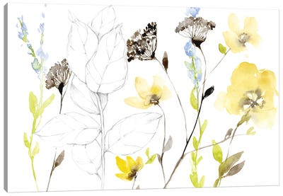 Wild Flowers & Contour I Canvas Art Print - Jennifer Goldberger