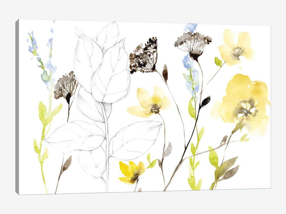 Wild Flowers & Contour I by Jennifer Goldberger 1-piece Canvas Print