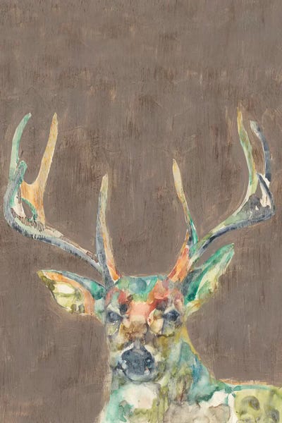 Deer: Rustic Wildlife I by Jennifer Goldberger