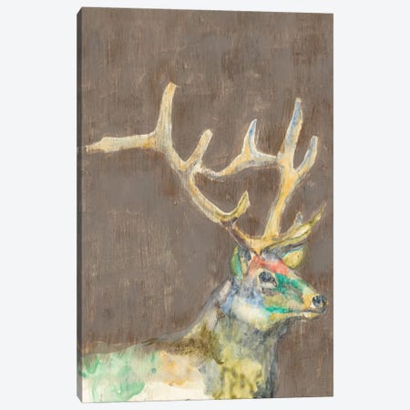 Rustic Wildlife II Canvas Print #JGO232} by Jennifer Goldberger Canvas Art