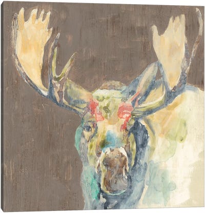 Rustic Wildlife III Canvas Art Print - Moose Art