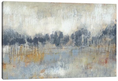 Cool Grey Horizon II Canvas Art Print - Scenic & Landscape Art