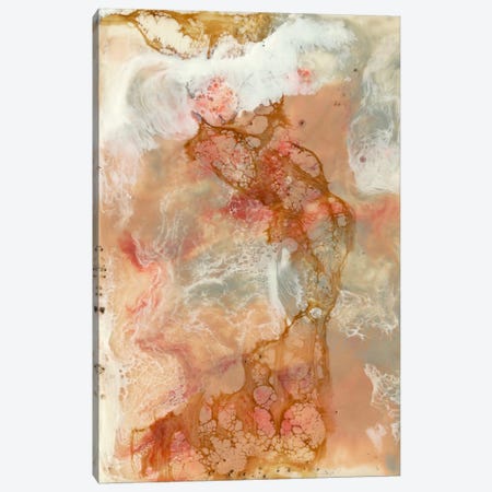 Coral Lace I Canvas Print #JGO27} by Jennifer Goldberger Canvas Art Print