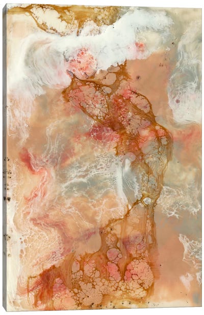Coral Lace I Canvas Art Print - Pantone Living Coral 2019