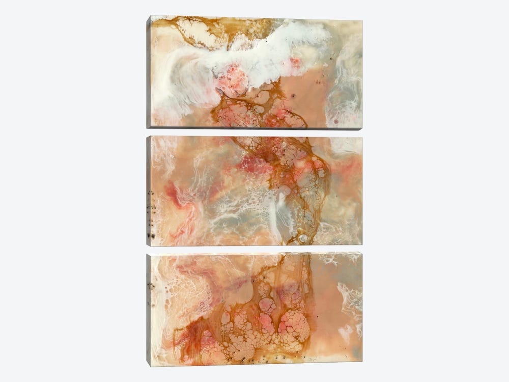 Coral Lace I by Jennifer Goldberger 3-piece Canvas Art