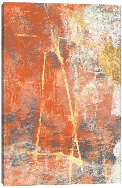 Terre Cotta Lace II Canvas Art Print - Jennifer Goldberger
