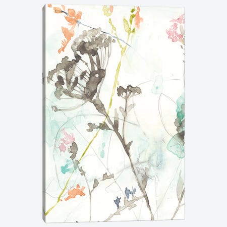 Wildflower Breath I Canvas Print #JGO285} by Jennifer Goldberger Canvas Wall Art