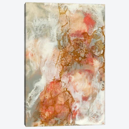 Coral Lace II Canvas Print #JGO28} by Jennifer Goldberger Canvas Art