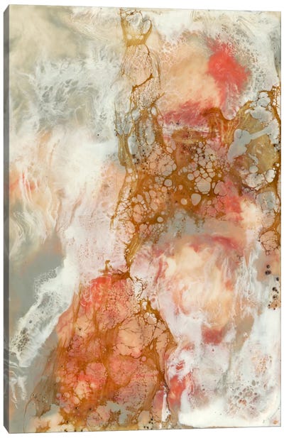 Coral Lace II Canvas Art Print - Jennifer Goldberger