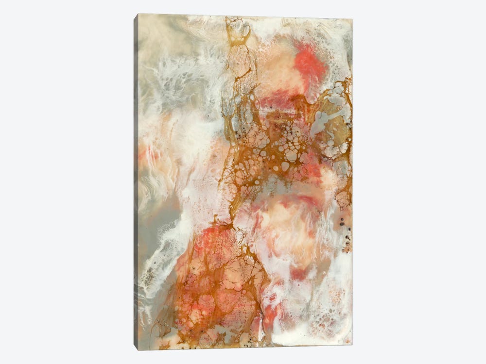 Coral Lace II by Jennifer Goldberger 1-piece Art Print
