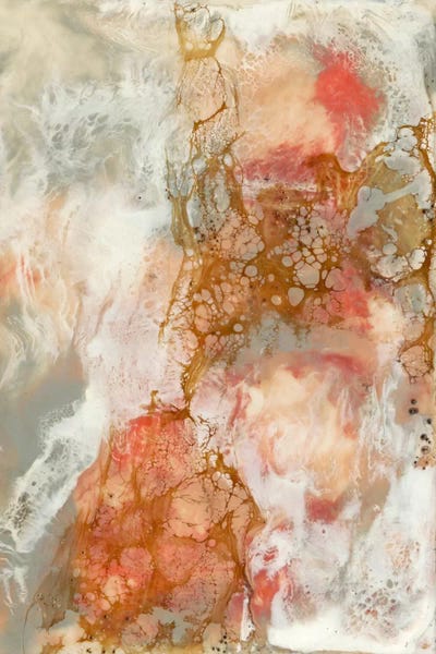 Abstract Expressionism: Coral Lace II by Jennifer Goldberger