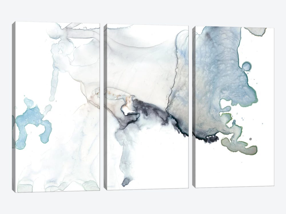 Bloom Cloud II by Jennifer Goldberger 3-piece Canvas Art