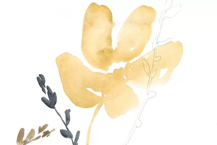 Branch Contours III by Jennifer Goldberger wall art