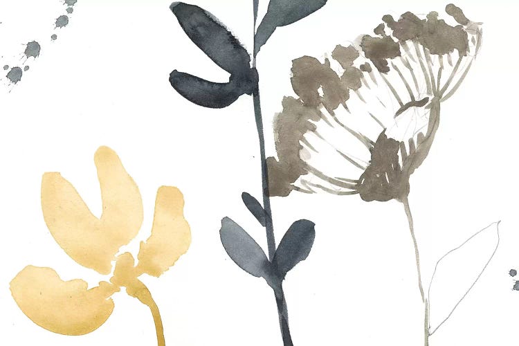 Branch Contours IV by Jennifer Goldberger wall art