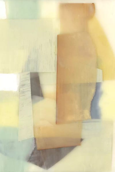 Branch Contours VI by Jennifer Goldberger art print