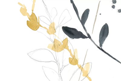 Branch Contours VII by Jennifer Goldberger framed wall art