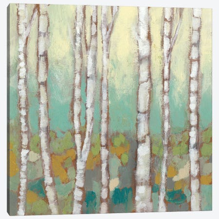 Kaleidoscope Birches I Canvas Print #JGO316} by Jennifer Goldberger Canvas Art