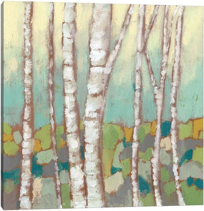 Kaleidoscope Birches II Canvas Art Print - Birch Tree Art