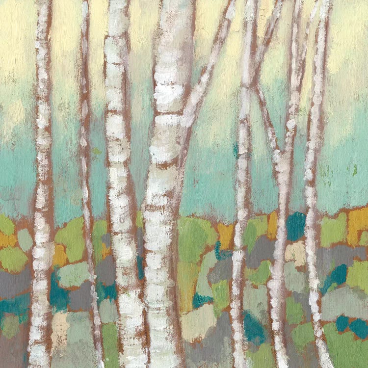 Kaleidoscope Birches II