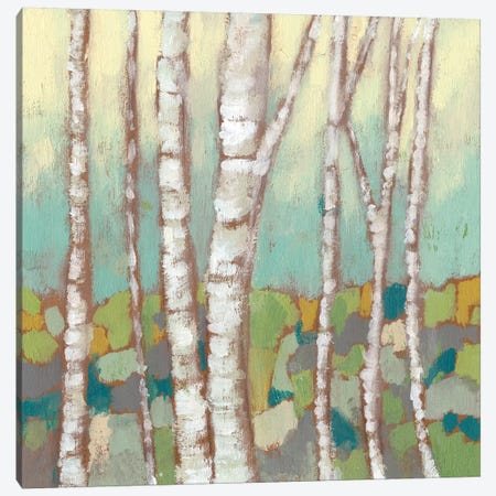 Kaleidoscope Birches II Canvas Print #JGO317} by Jennifer Goldberger Canvas Wall Art