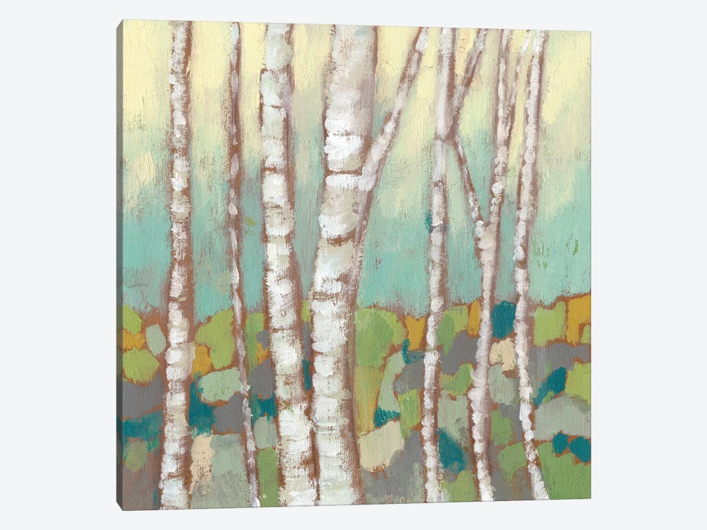Kaleidoscope Birches II by Jennifer Goldberger 1-piece Canvas Art