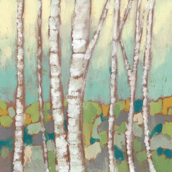 Birch Trees: Kaleidoscope Birches II by Jennifer Goldberger