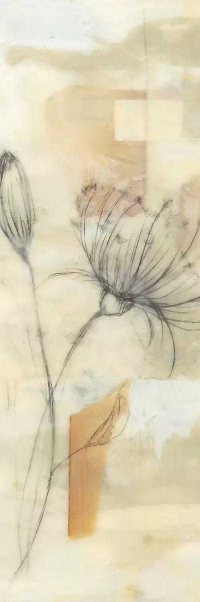 Neutral Lace I by Jennifer Goldberger framed canvas print