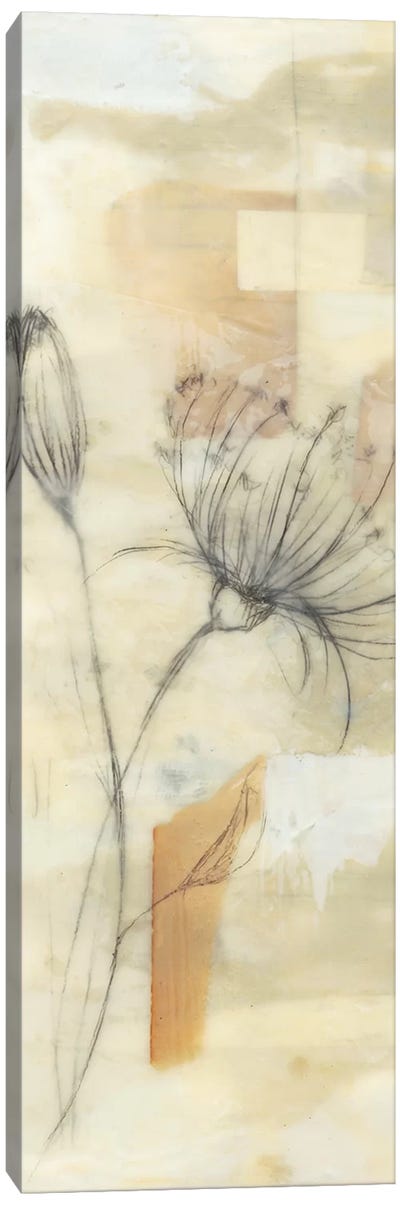 Neutral Lace I Canvas Art Print - Jennifer Goldberger