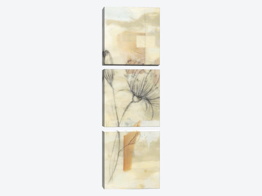 Neutral Lace I by Jennifer Goldberger 3-piece Canvas Wall Art