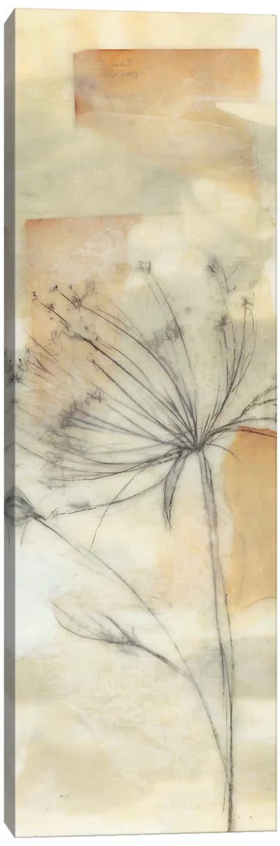 Neutral Lace II Canvas Art Print - Transitional Décor