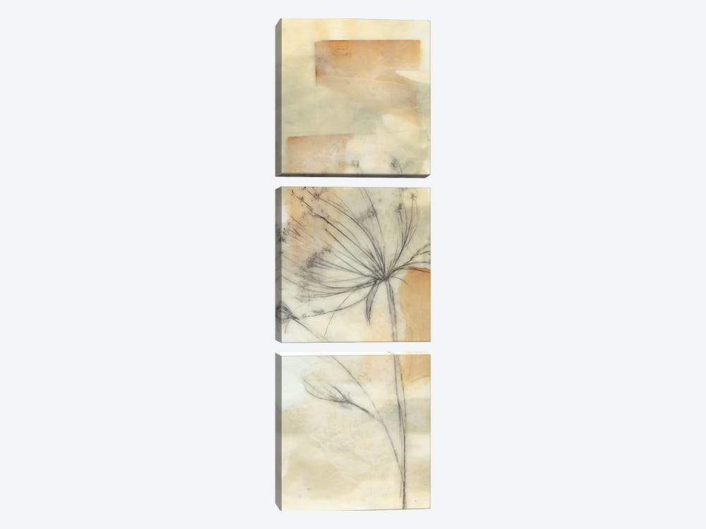 Neutral Lace II by Jennifer Goldberger 3-piece Canvas Art Print