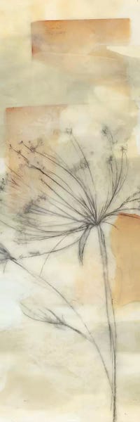 Neutral Lace II