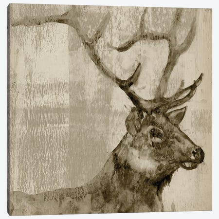 Sepia Elk Canvas Print #JGO330} by Jennifer Goldberger Art Print