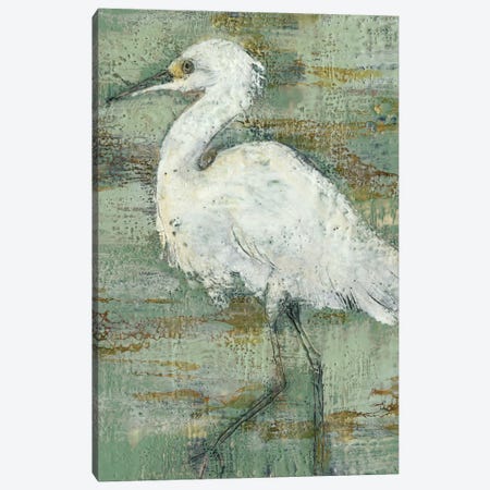 Textured Heron I Canvas Print #JGO339} by Jennifer Goldberger Canvas Print